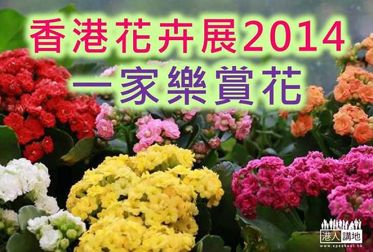 【港人活動】一年一度花卉展  開花啦！