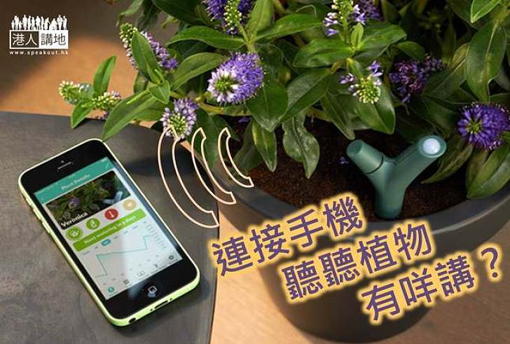 【生活科技】植物想要告訴你  電子裝置監察生長情況