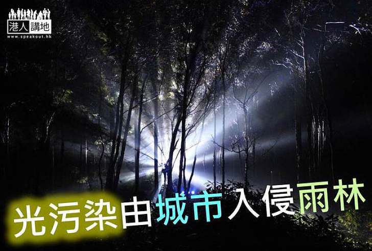 【生態新聞】光污染由城市入侵雨林