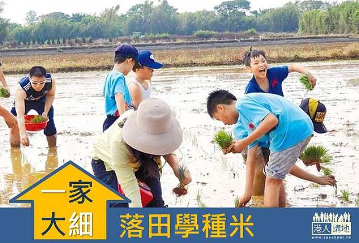 【親子教育】一家大細親親大自然 落田學種米