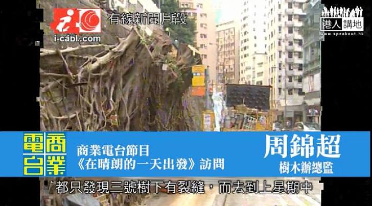 【短片】【點解要鋸樹？】樹木辦總監：之前塌過樹、傷過人  發現裂縫加大  政府以保障公眾安全為大前提 