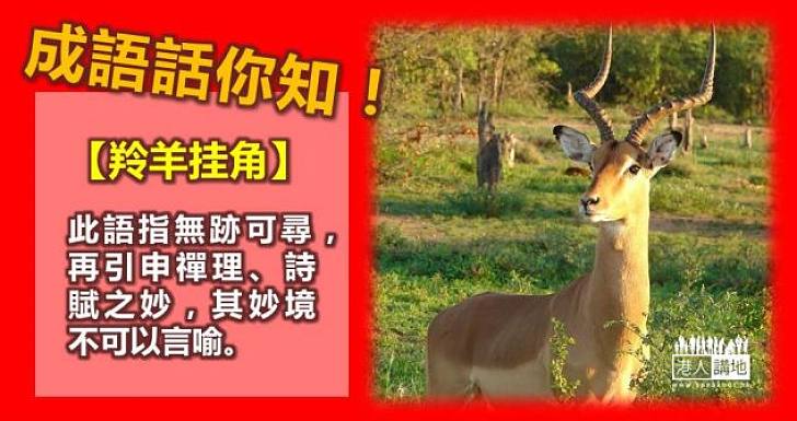 【成語咩咩咩】無跡可尋、妙不可言——「羚羊挂角」