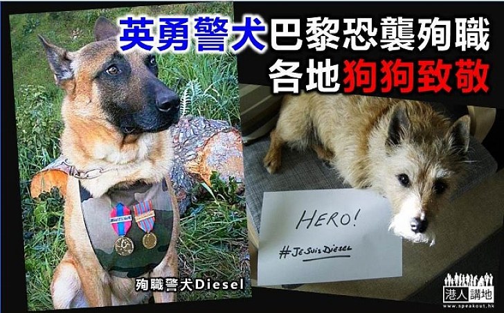 英勇警犬巴黎恐襲殉職　各地狗狗致敬