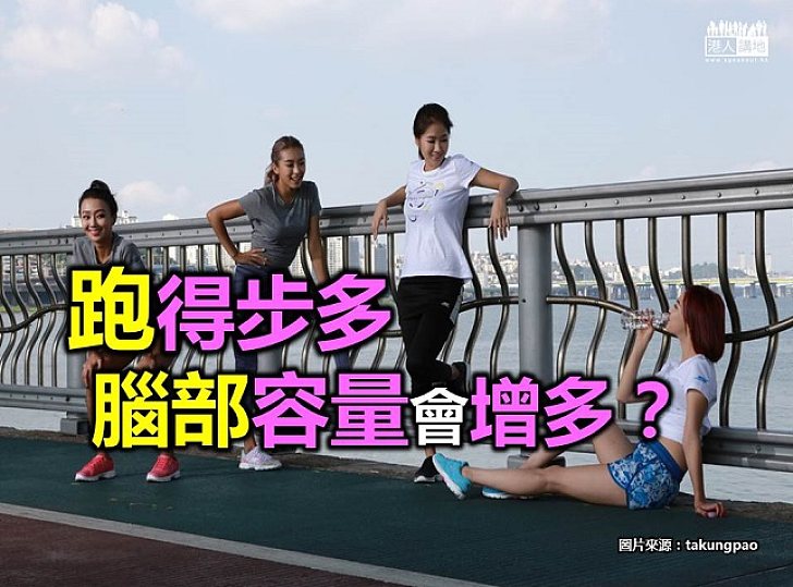 【新聞通識】跑得步多 腦部的空間會增多?
