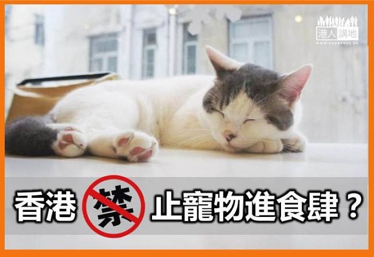 香港禁止寵物進食肆？