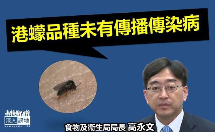 高永文：香港已知蠓品種未有傳播傳染病