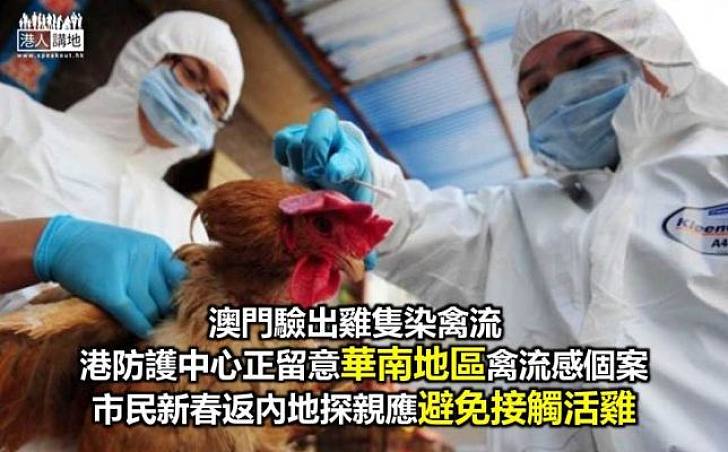 防護中心正留意華南地區禽流感個案