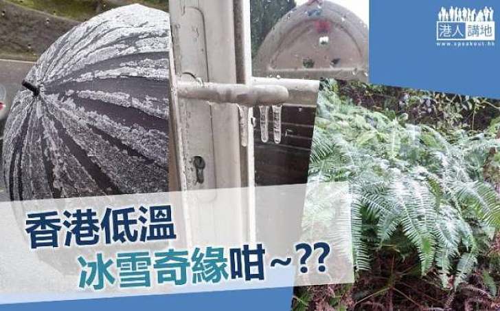 天氣嚴寒 香港多區結冰霜