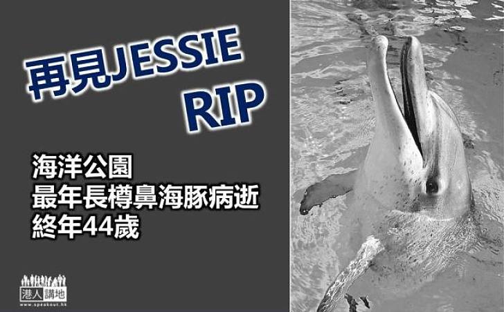 海洋公園最年長樽鼻海豚病逝 