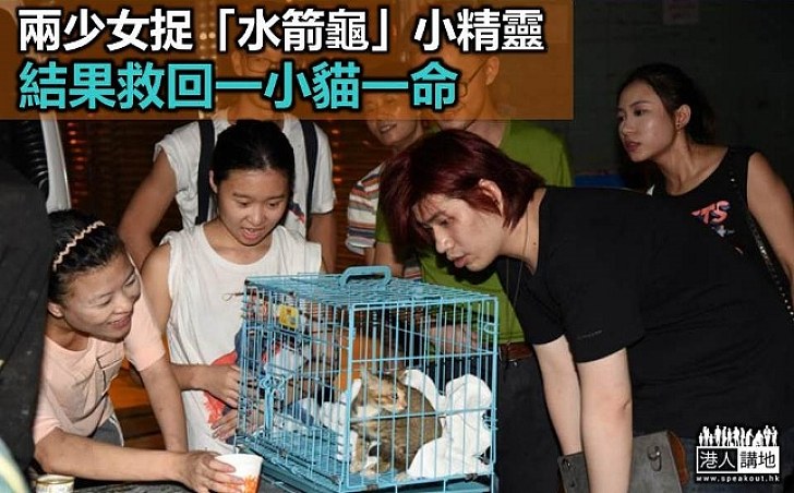 兩少女捉「水箭龜」小精靈 結果救回一小貓一命