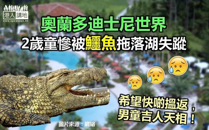 奧蘭多迪士尼世界 2歲童被鱷魚拖落湖失蹤