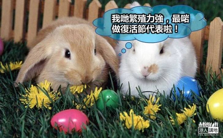 復活兔=豐富生命力