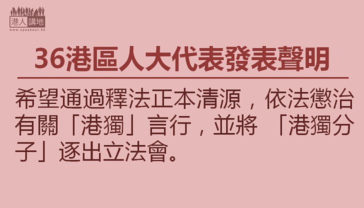 【正本清源】港區人大代表：一致支持釋法 維護國家統一和「一國兩制」