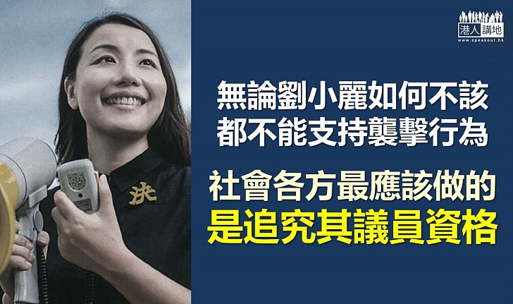 無論劉小麗如何不該 也不應襲擊她