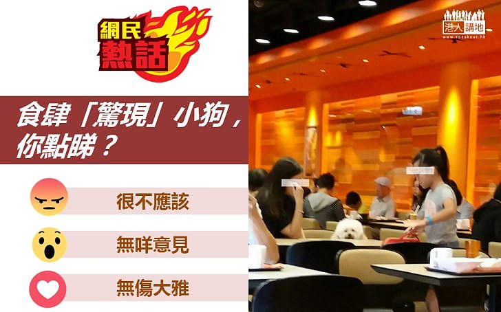 【網民熱話】食肆「驚現」小狗，你點睇？