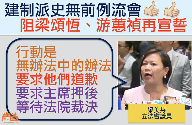 【天地正氣】建制派為正道釀流會  梁美芬：行動是無辦法中之中的辦法