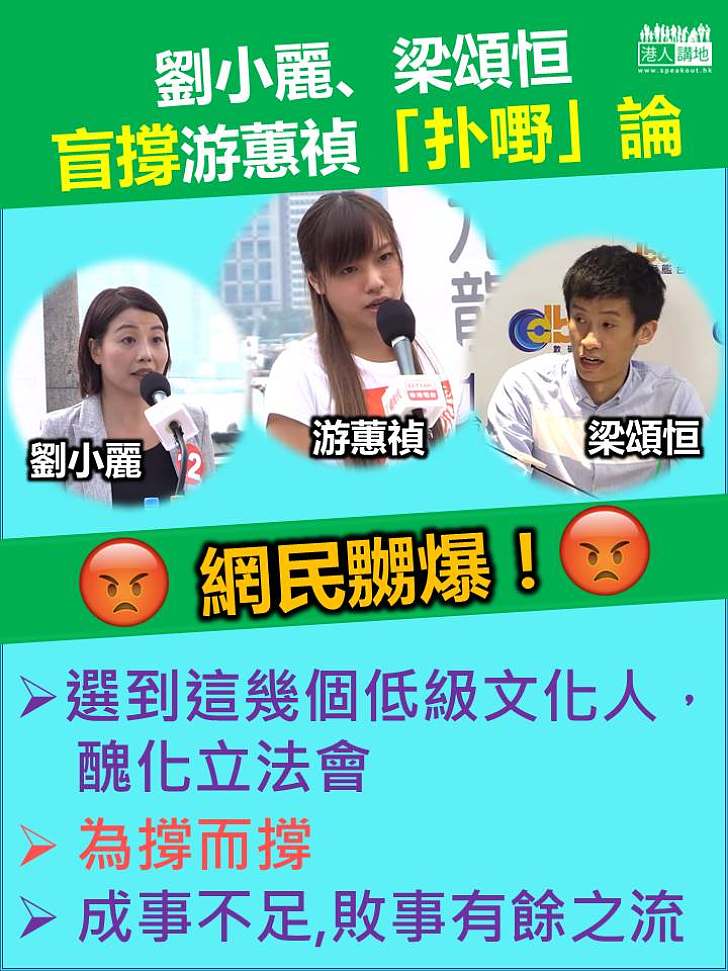 劉小麗梁頌恒盲撐游蕙禎「扑嘢」論 網民:為撐而撐 醜化立法會