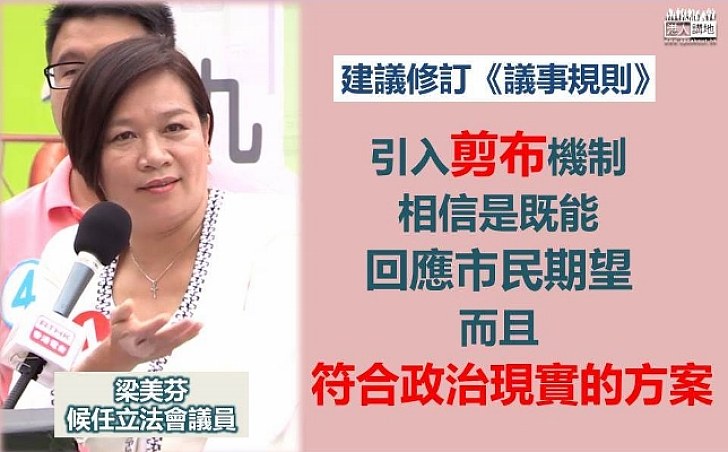 梁美芬:引入剪布機制既能回應市民期望 亦符合政治現實