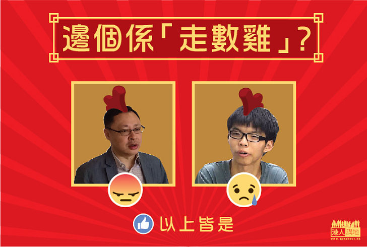 【雞年選雞】邊個係「走數雞」？