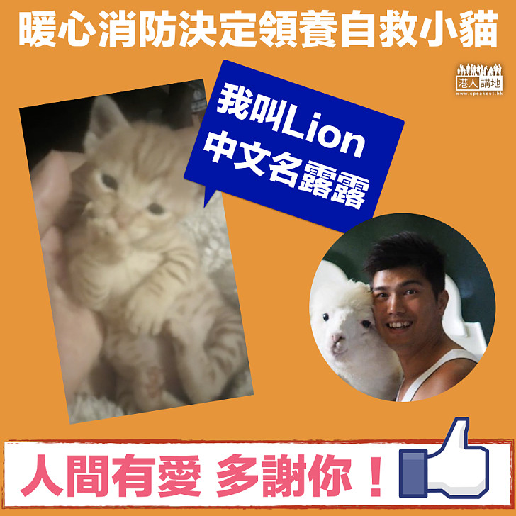 【人間有愛】消防鐵騎士決定領養自救小貓 取名為Lion