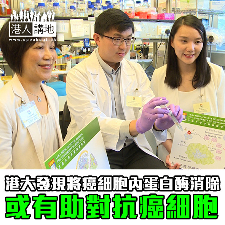 【焦點新聞】病人福音 港大發現將癌細胞內蛋白酶消除 或有助對抗癌細胞