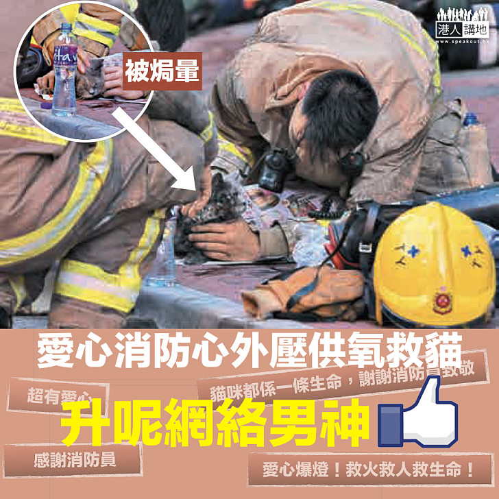 【愛心消防】消防員心外壓供氧救貓
