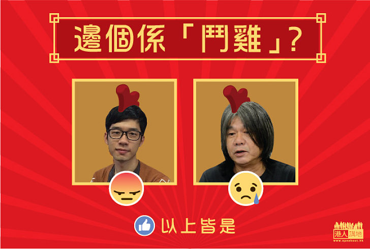 【雞年選雞】邊個係「鬥雞」？