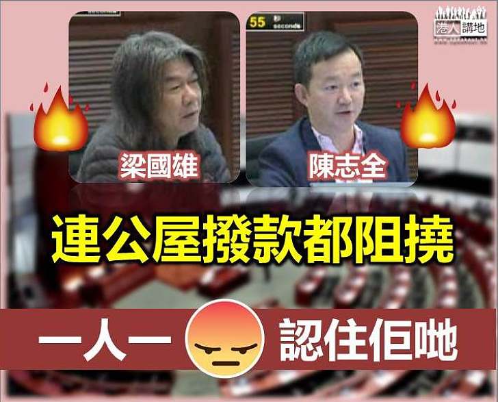 大埔公屋項目「長毛」、「慢必」投反對票   項目在建制派支持下獲通過