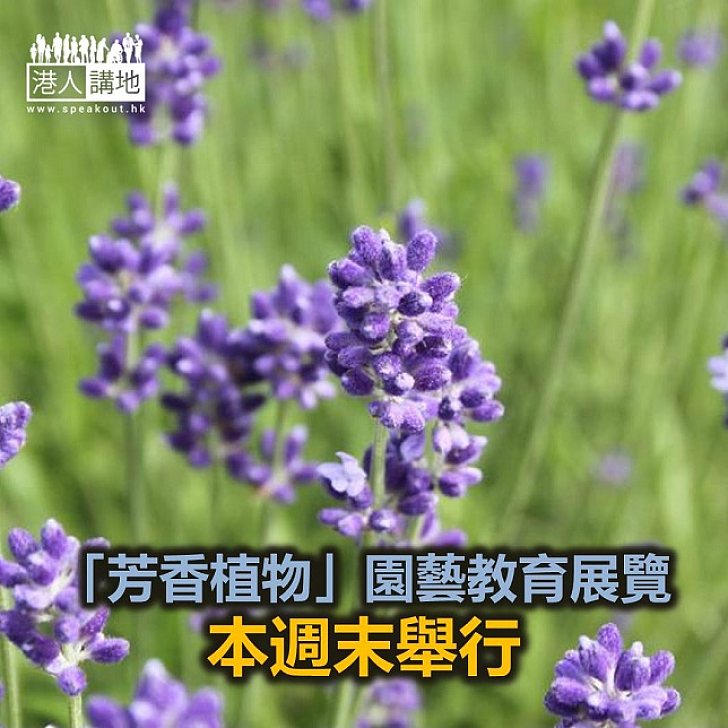 【焦點新聞】「芳香植物」園藝教育展覽本週末舉行