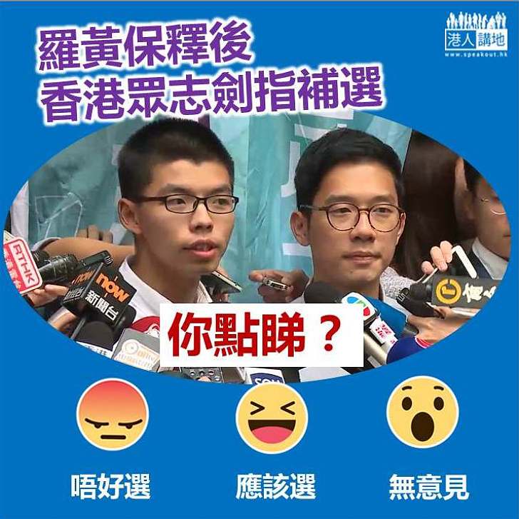 【一齊投票】羅黃保釋後 香港眾志劍指補選 