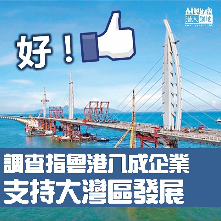 【更加重要】總商會調查：粵港八成企業支持大灣區發展
