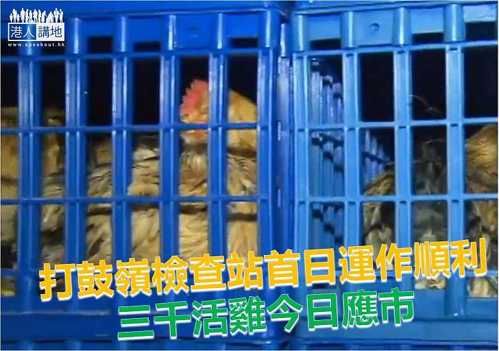 【焦點新聞】本港恢復活雞供應  零售價升三成