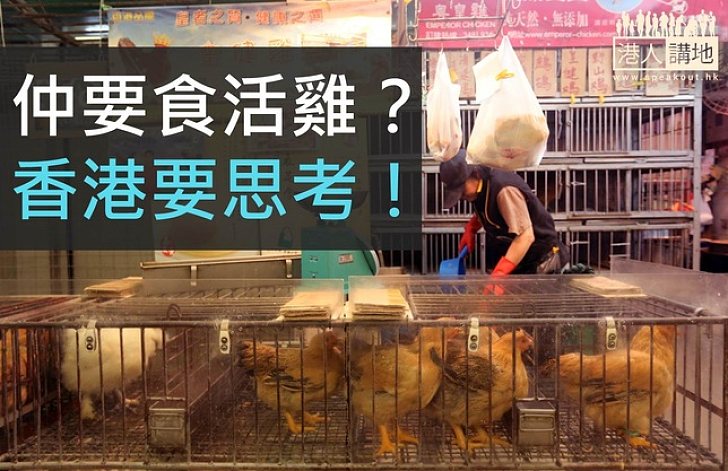 禽流雞襲港新年冇雞食 特首希望社會反思是否定要吃活雞
