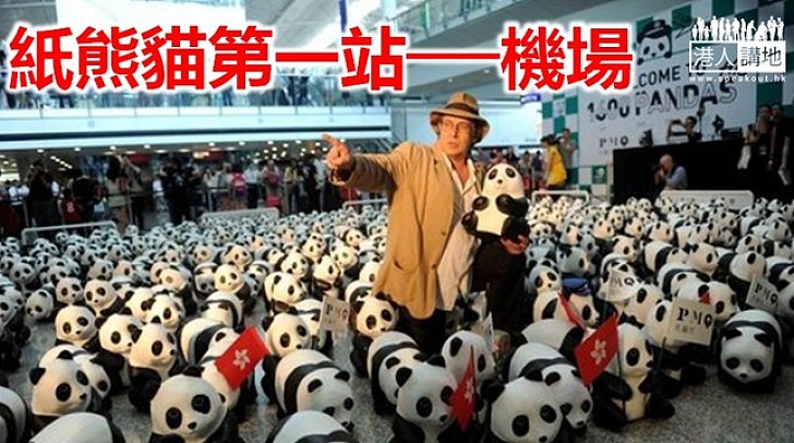 1600紙熊貓抵港　「快閃」後等你領養