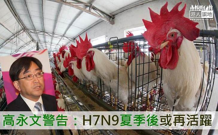 【焦點新聞】高永文警告：H7N9夏季後或再活躍