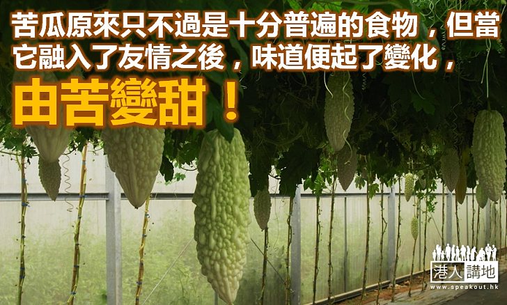 苦瓜也可吃出甜味來！